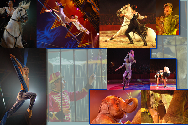 Composition synthtique de nos membres : Plus de photos sur le festival du cirque de Massy 2007